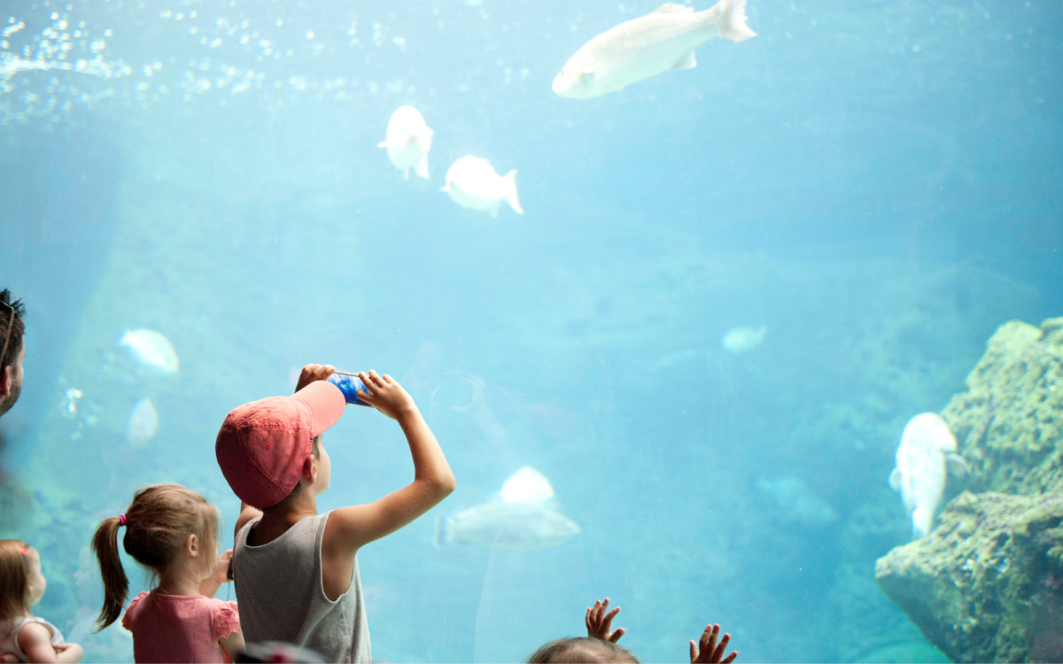 CretaAquarium 2 Kids Love Greece