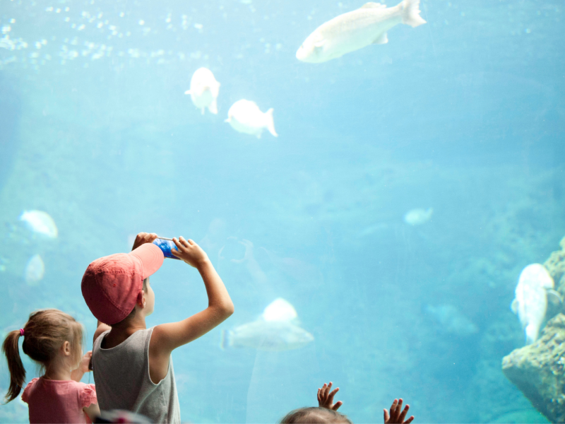 CretaAquarium 2 Kids Love Greece