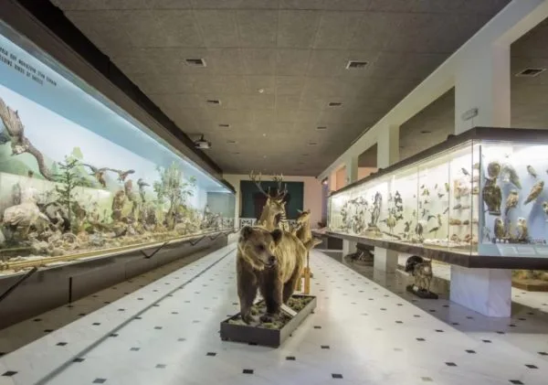 goulandris natural history museum KLG Web