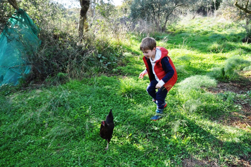 Cretan Cookery Workshop Crete family activity gastronomy local ingredients olive farm kidslovegreece Greece culture