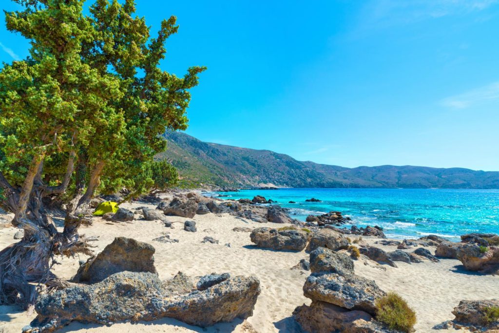 elafonissi beach and forest Chania Crete