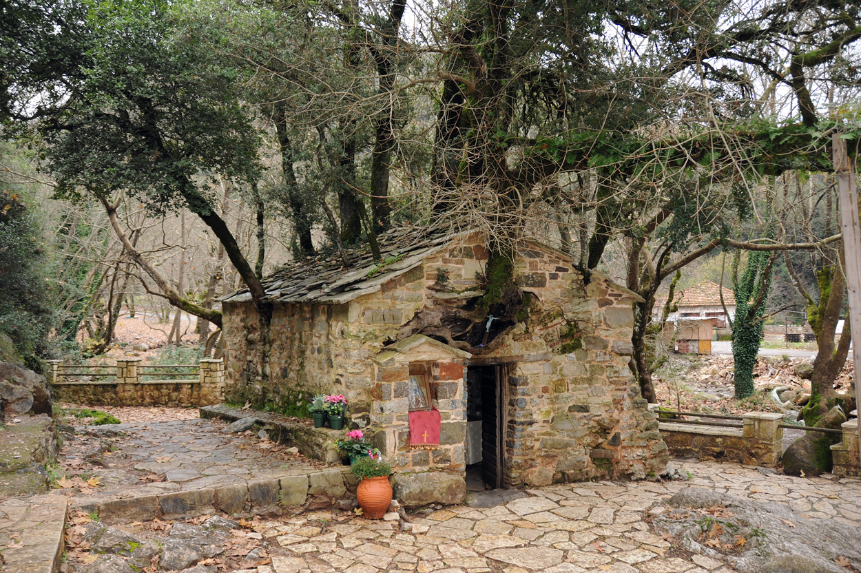 Theodora Tree Saint Theodora: the church with the trees on the roof | Kids Love Greece