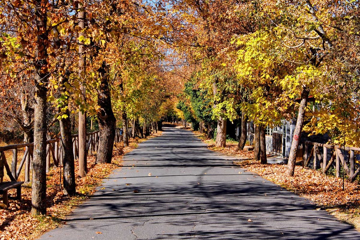 vytina village KidsLoveGreece.com