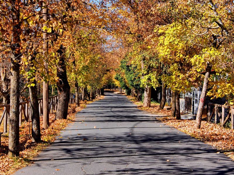 vytina village KidsLoveGreece.com
