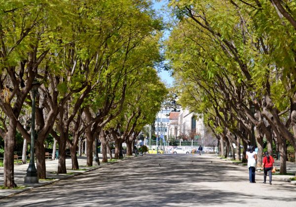 National gardens Athens