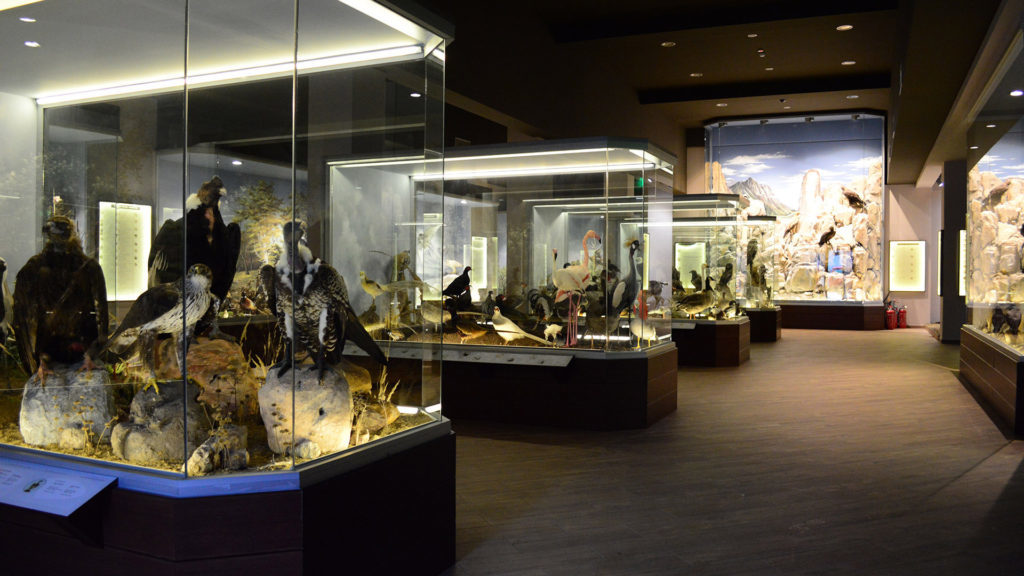 Natural history museum of Meteora KidsLoveGreece.com