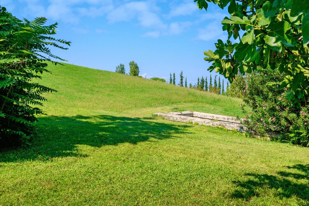 Hill and entrance to Royal Tombs of Aigai. Vergina. Central Macedonia, Greece-min DP