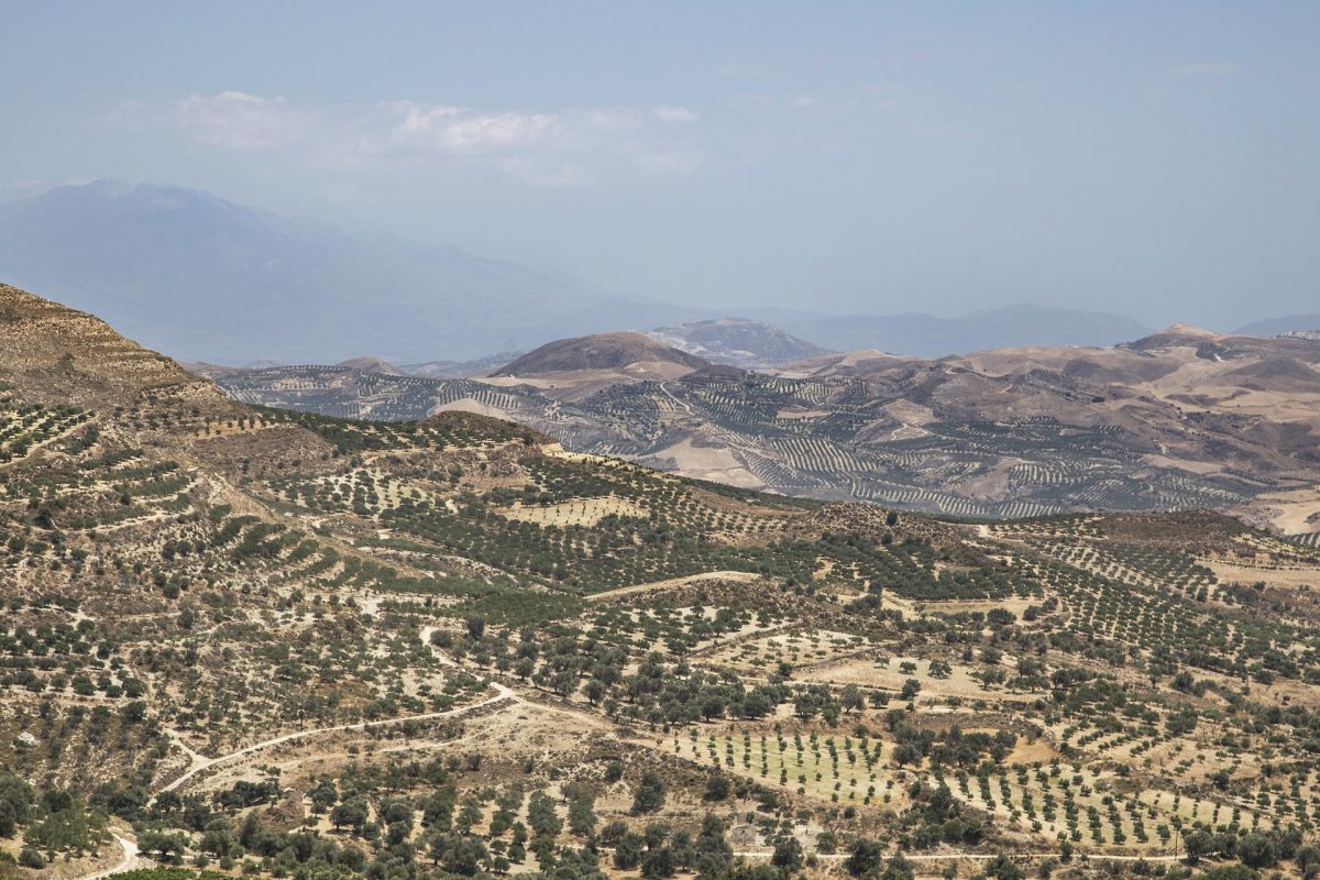 landscape Crete