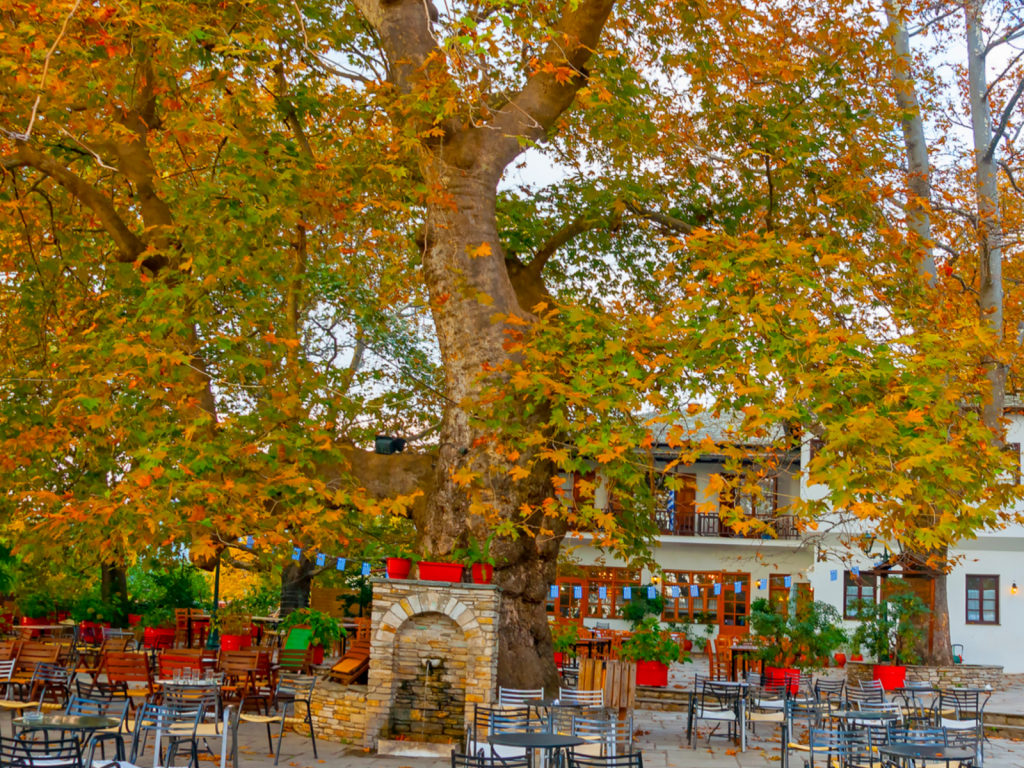SH Portaria Pelion Fall Kids Love Greece