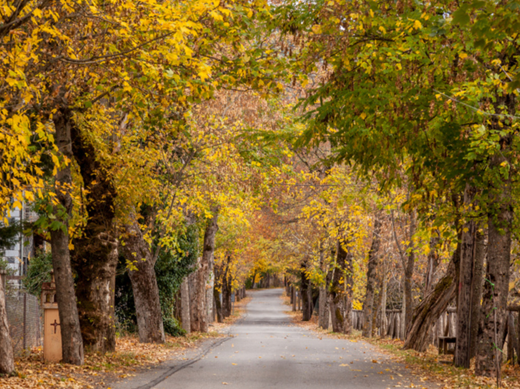 SH Portaria Pelion Fall Kids Love Greece