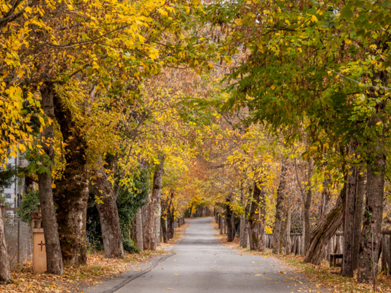 SH Portaria Pelion Fall Kids Love Greece
