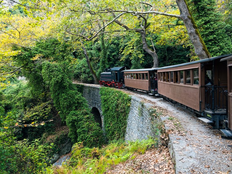 train-climbing-Pelion-mountain-in-forest-SHThings to do in Pelion for families