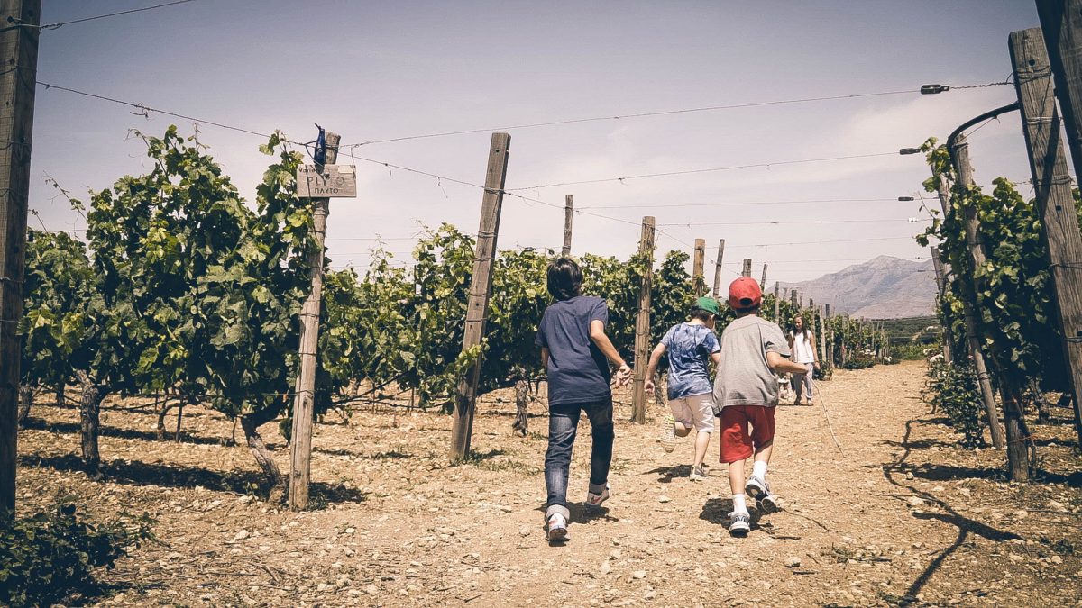 Wine tour in Crete