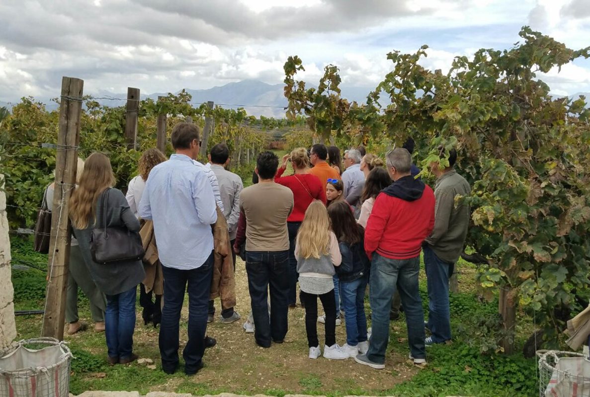 Wine tour in Crete