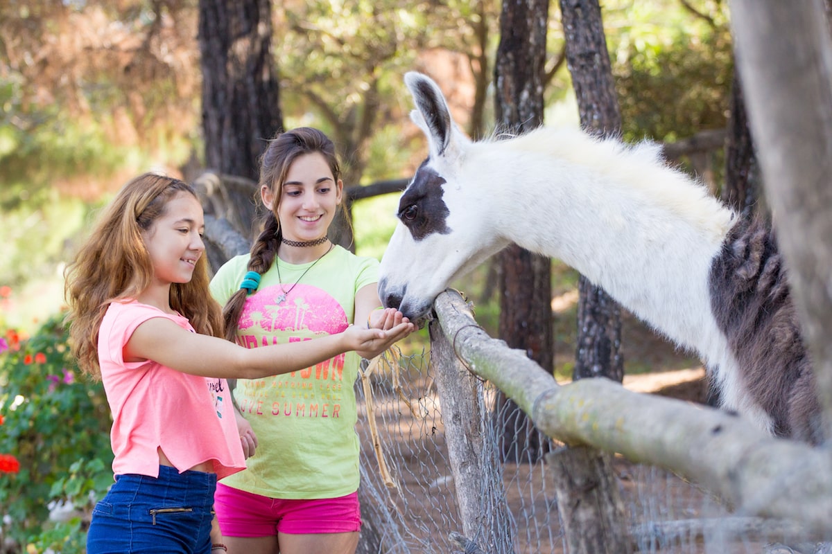 Visit Rhodes with Family and Kids | KidsLoveGreece.com