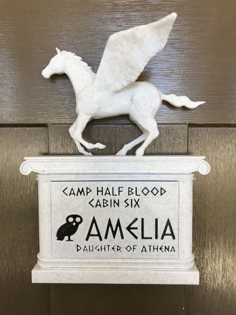 Etsy Half Blood Camp Door sign