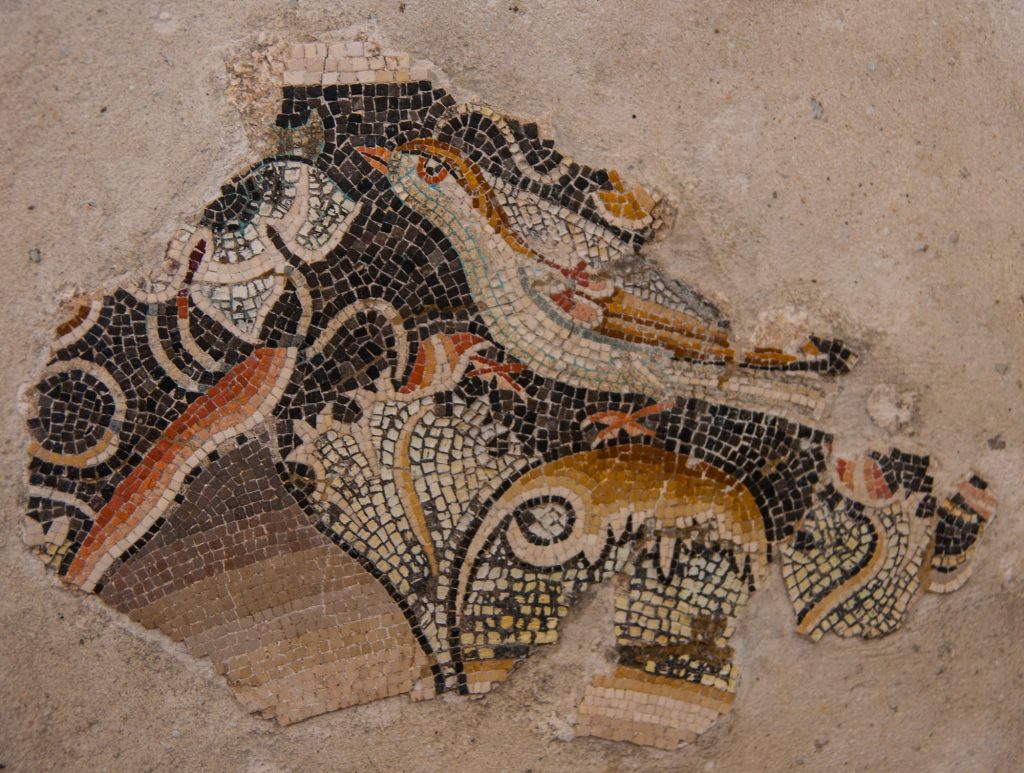 Mosaic in Delos DP