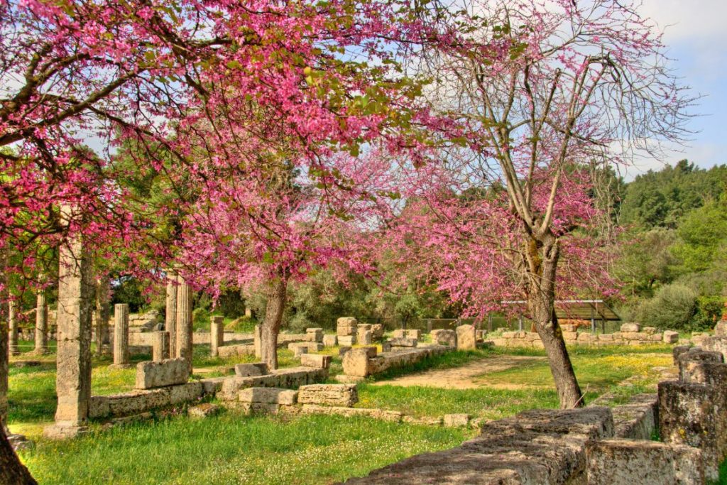 spring_in_greece_olympia_canva